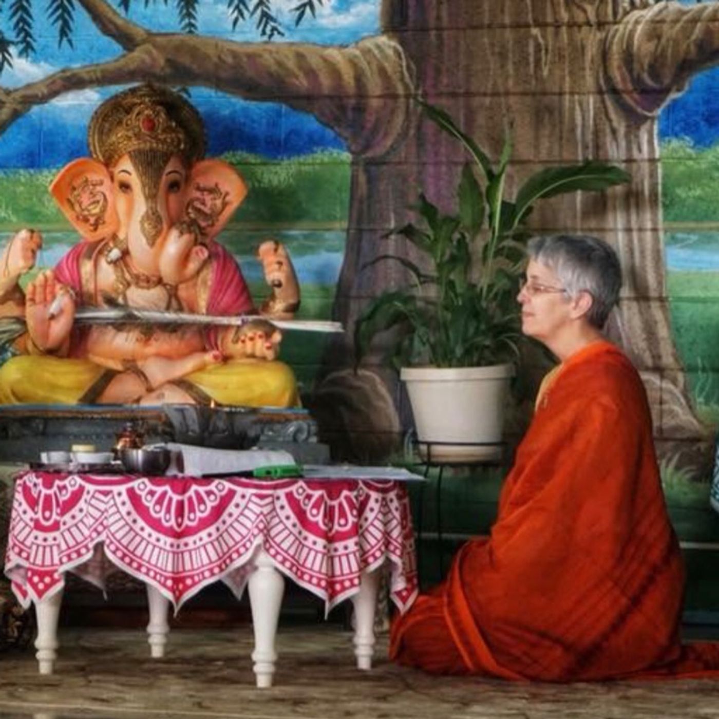 The Path of Non-Violence. A Spiritual Satsang with Sudha Mataji 1/20/19 episode artwork