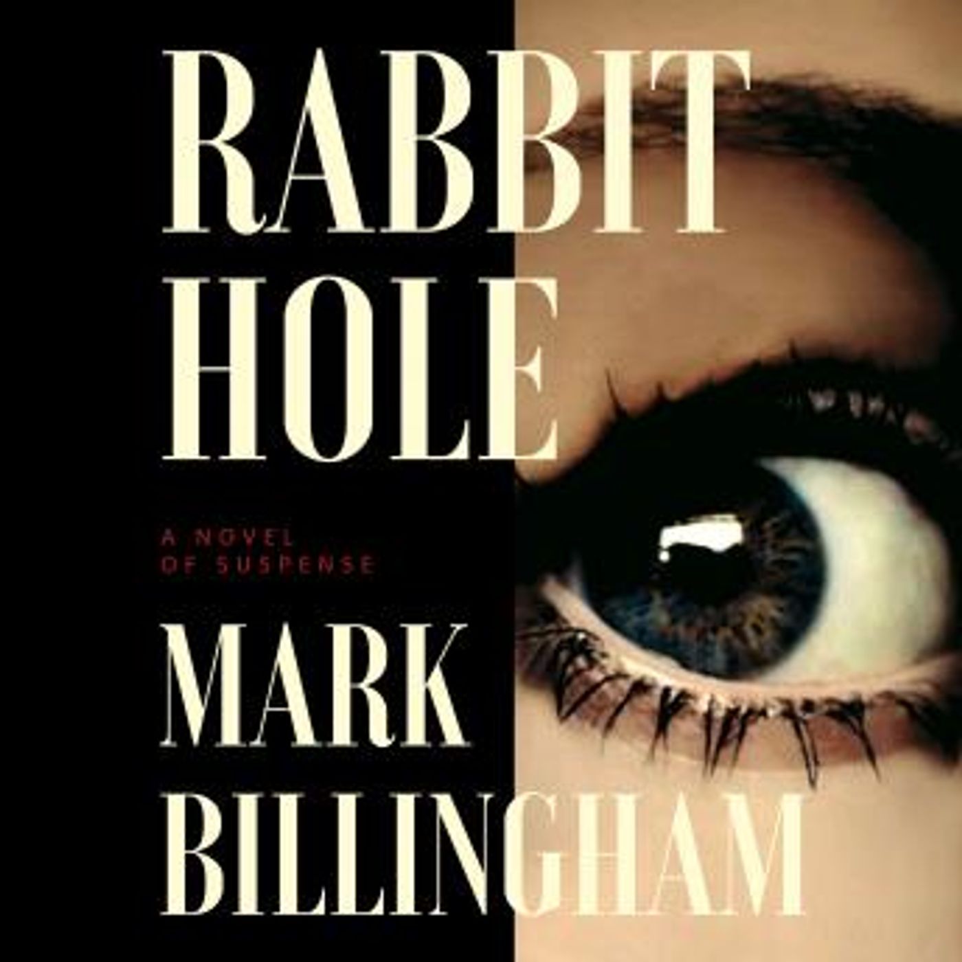 Full Audiobooks in Mystery, Thriller & Horror, Suspense