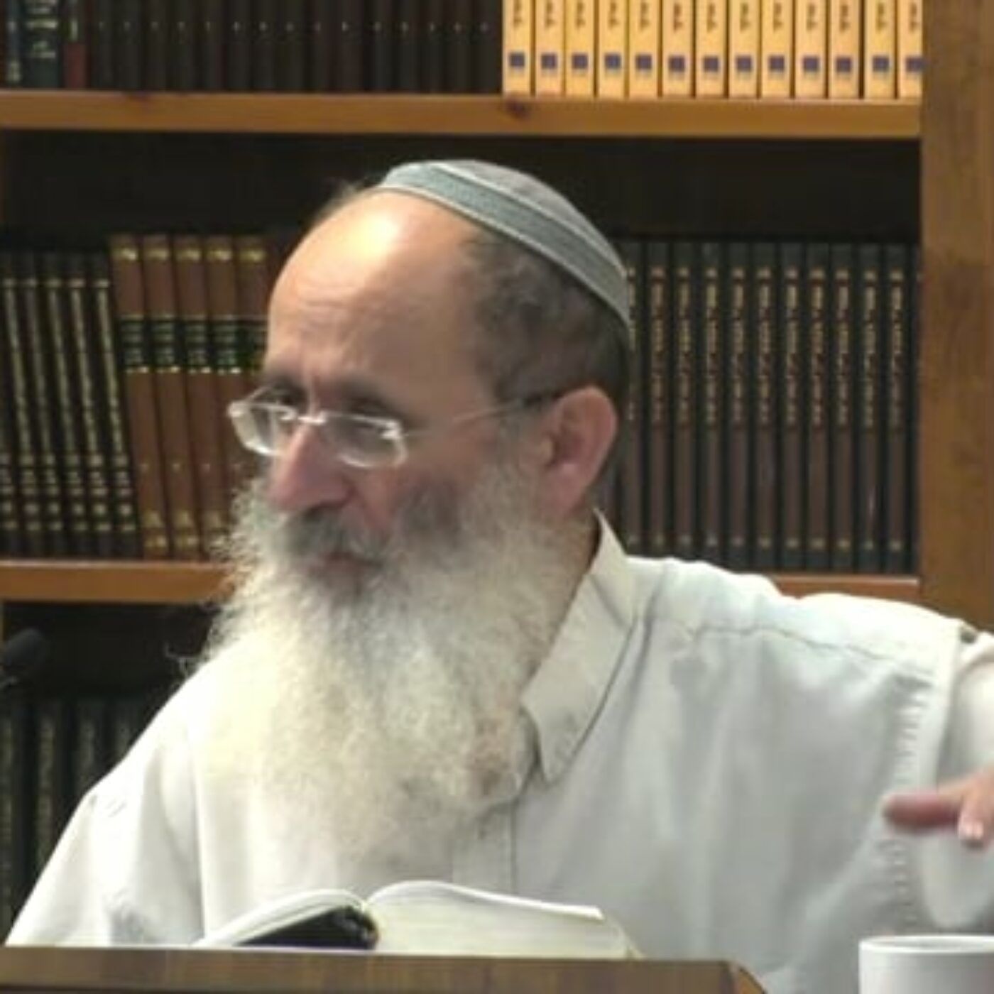 ההשפעה ההדדית של יוסף ויהודה בזמן הגלות | הרב אורי עמוס שרקי