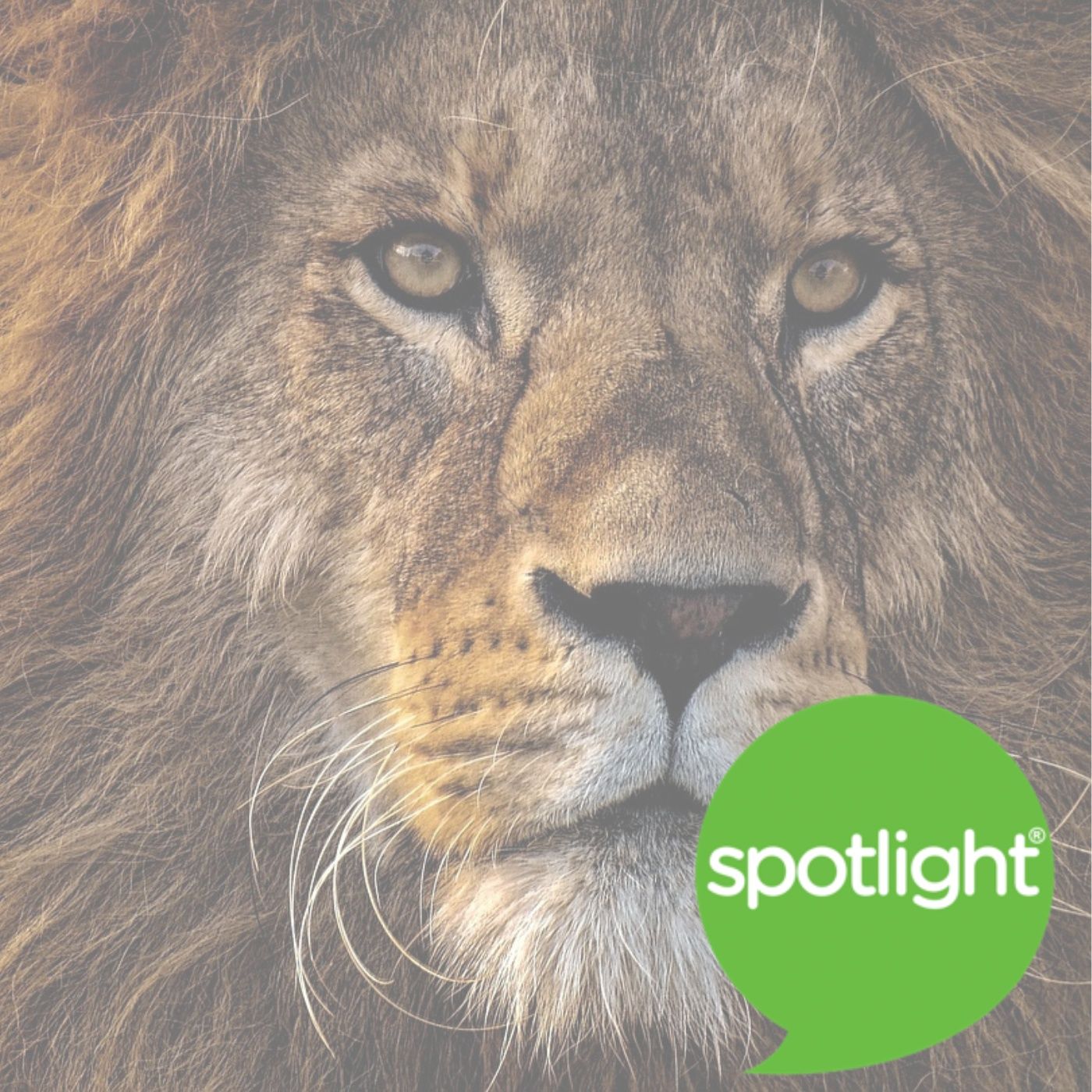 A Lion Called Christian