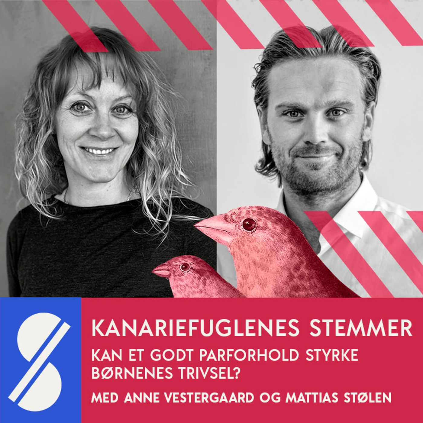 Kanariefuglenes stemmer