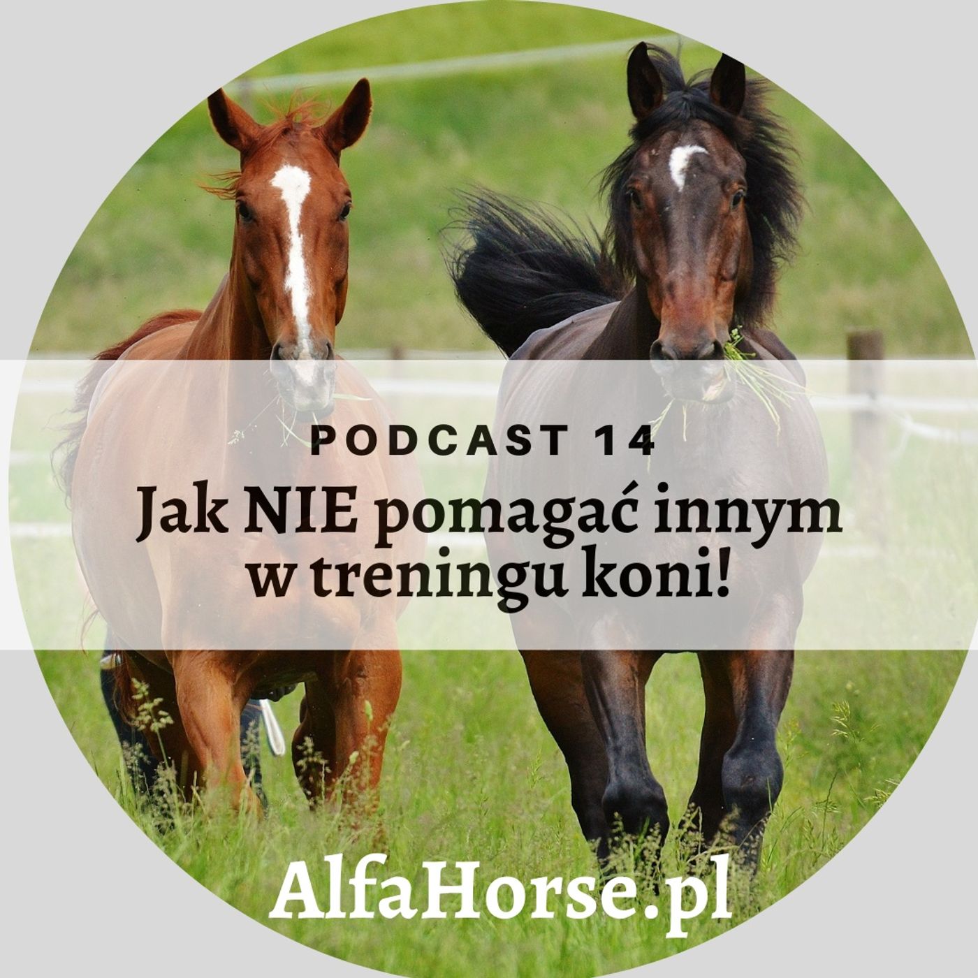 Podcast 14: Jak NIE pomagać innym w treningu koni! episode artwork