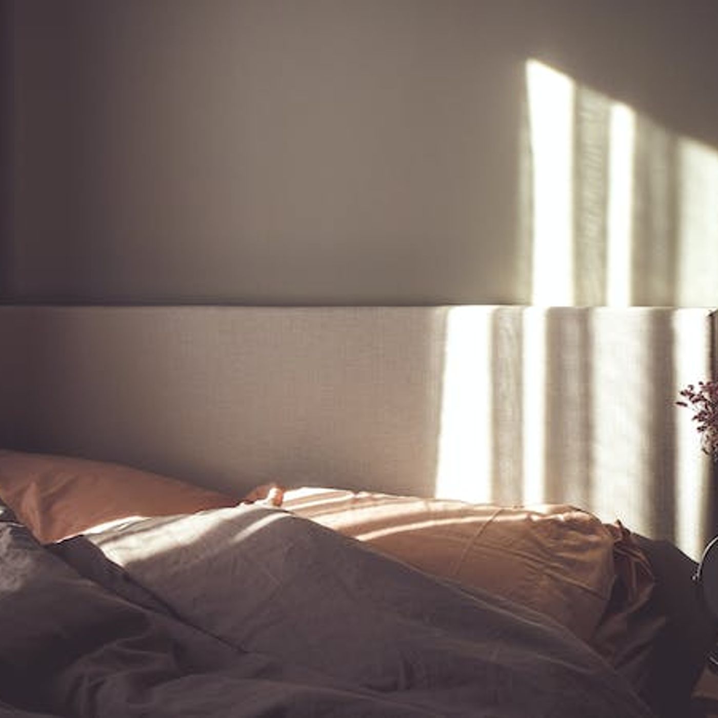 I’m Tired and Busy — How Do I Make Time for the Bible?