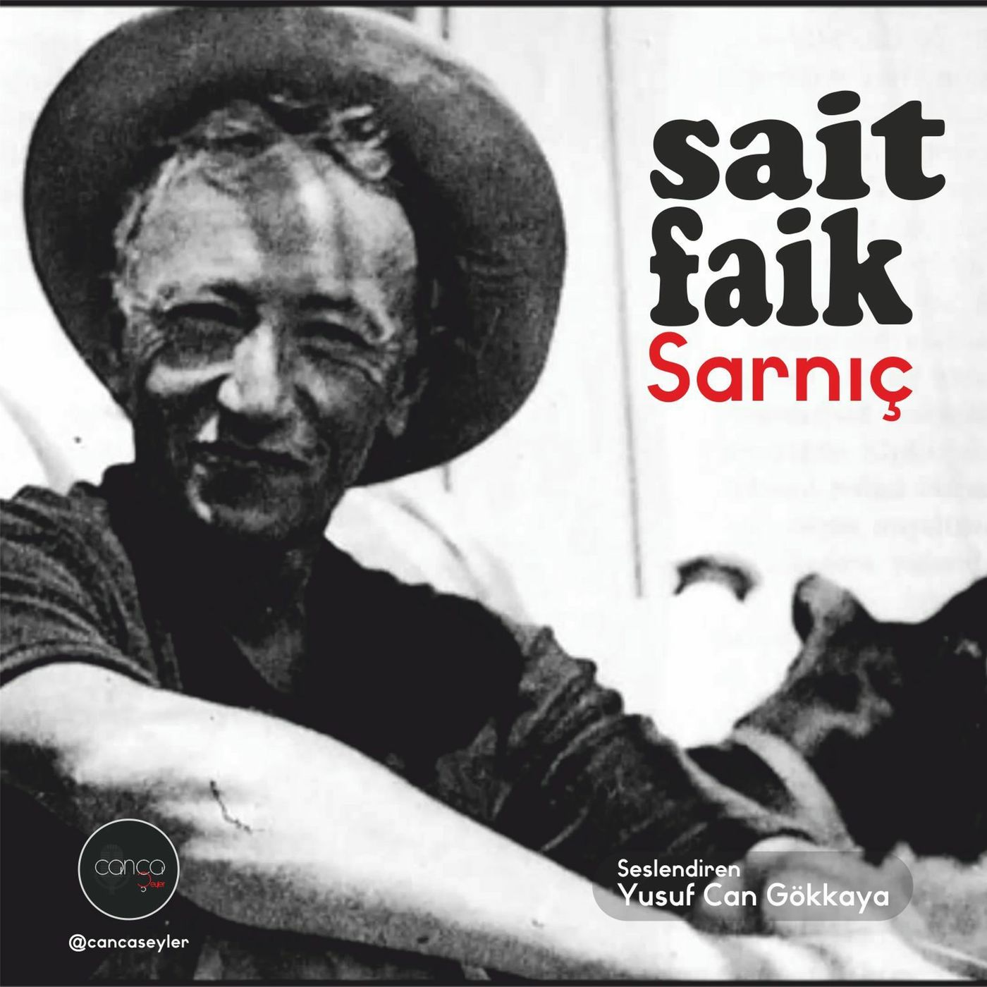 Öykü | Sait Faik Abasıyanık - Sarnıç