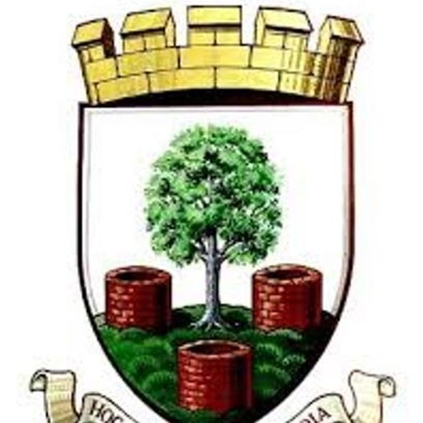 Welton Rovers v Wells City 2nd half episode artwork