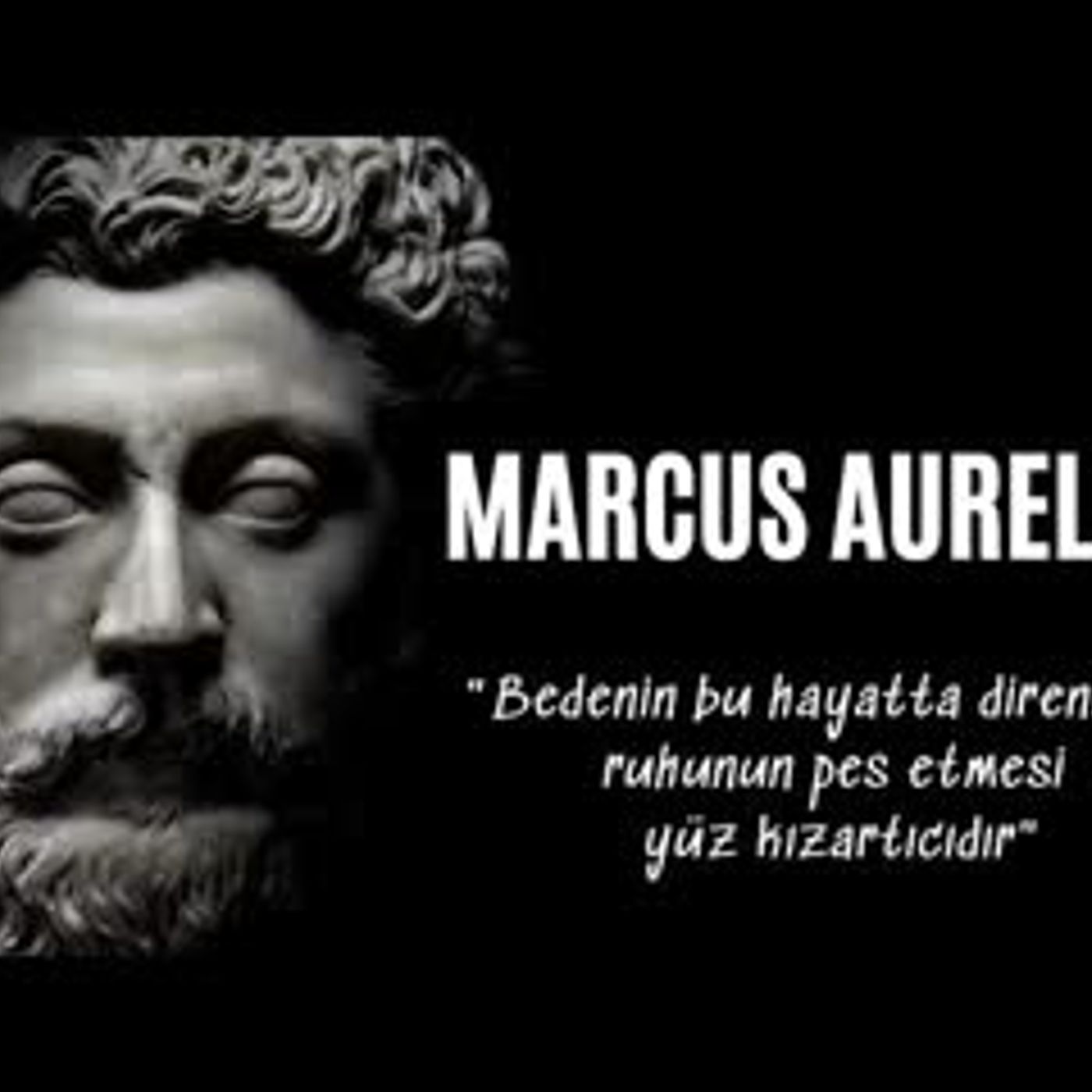 Marcus Aurelius Felsefesi ve Stoacılık - Sesli Kitap Dinle