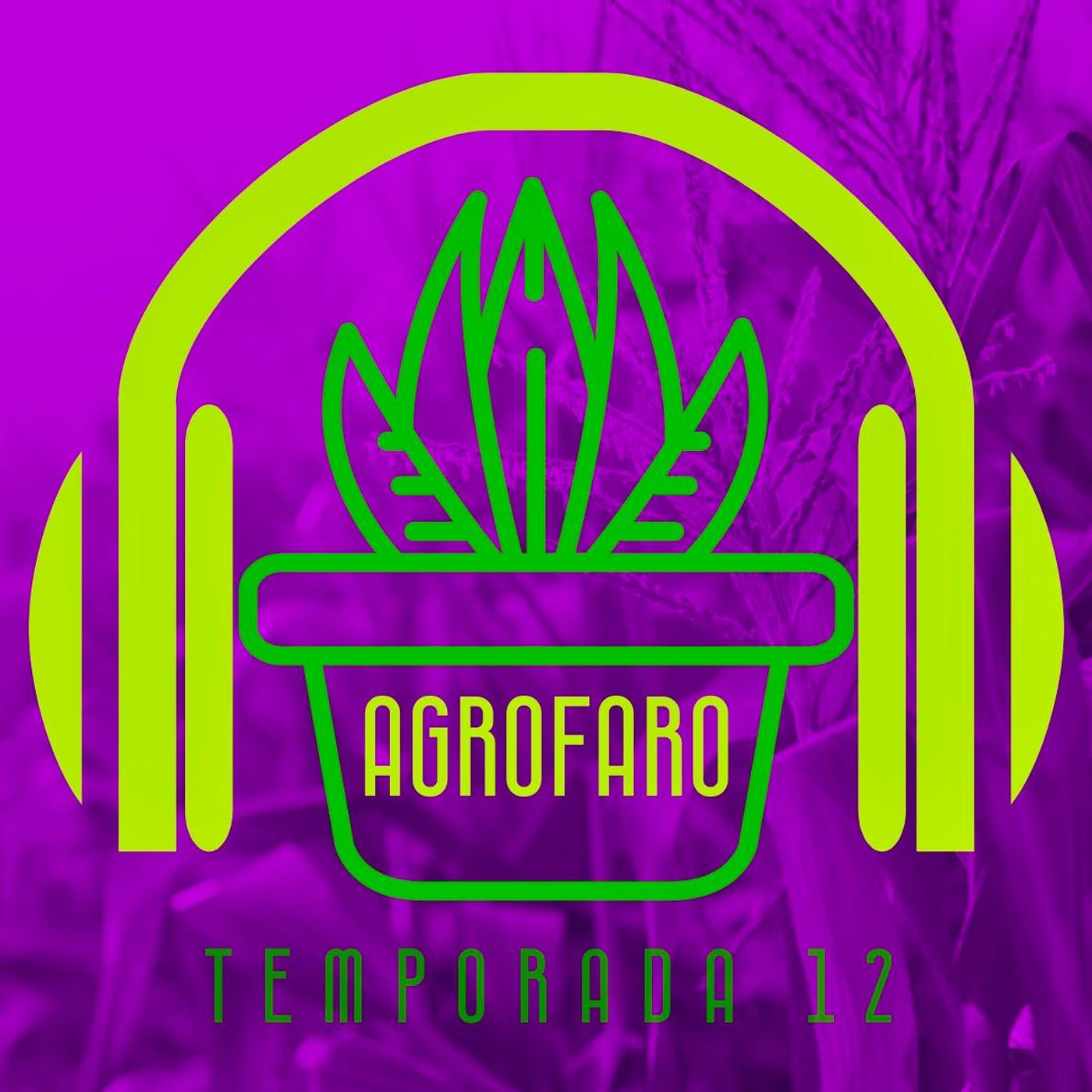 Agrofaro Temp.12 Ep1. IntroduccionTemp12