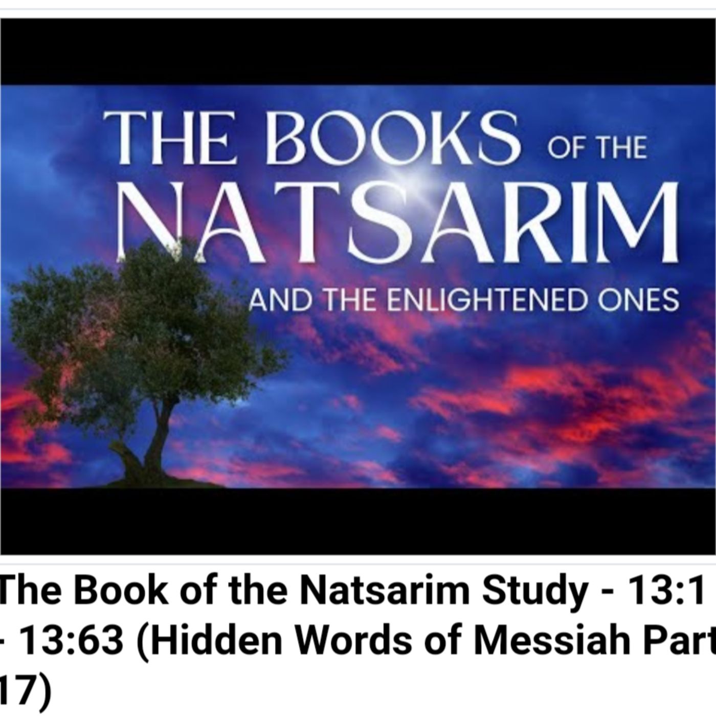The Book of the Natsarim Study - 13:1 - 13:63 (Hidden Words of Messiah Part 17) episode artwork