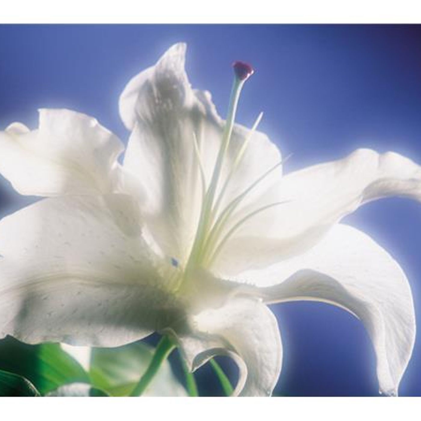 Feed Your Soul: The Adjuster and the Soul - Paper 111 - From The Urantia Book episode artwork