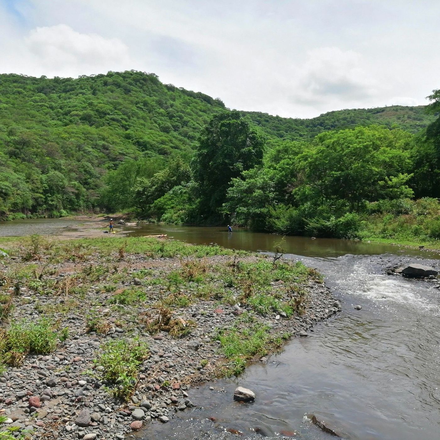 In Honor Of The Defenders Of Our Lands - International Day Of Forests 2024