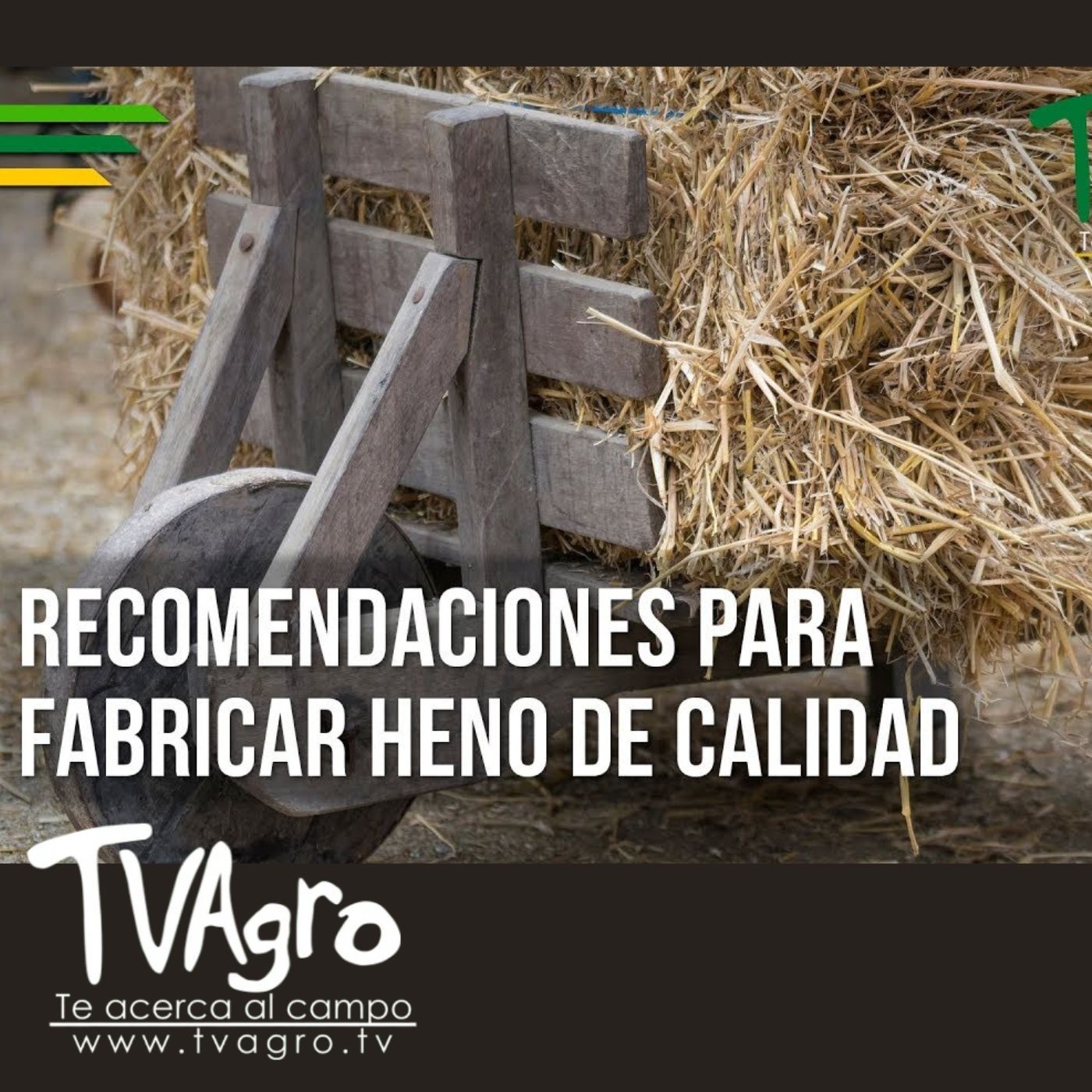 TV AGRO