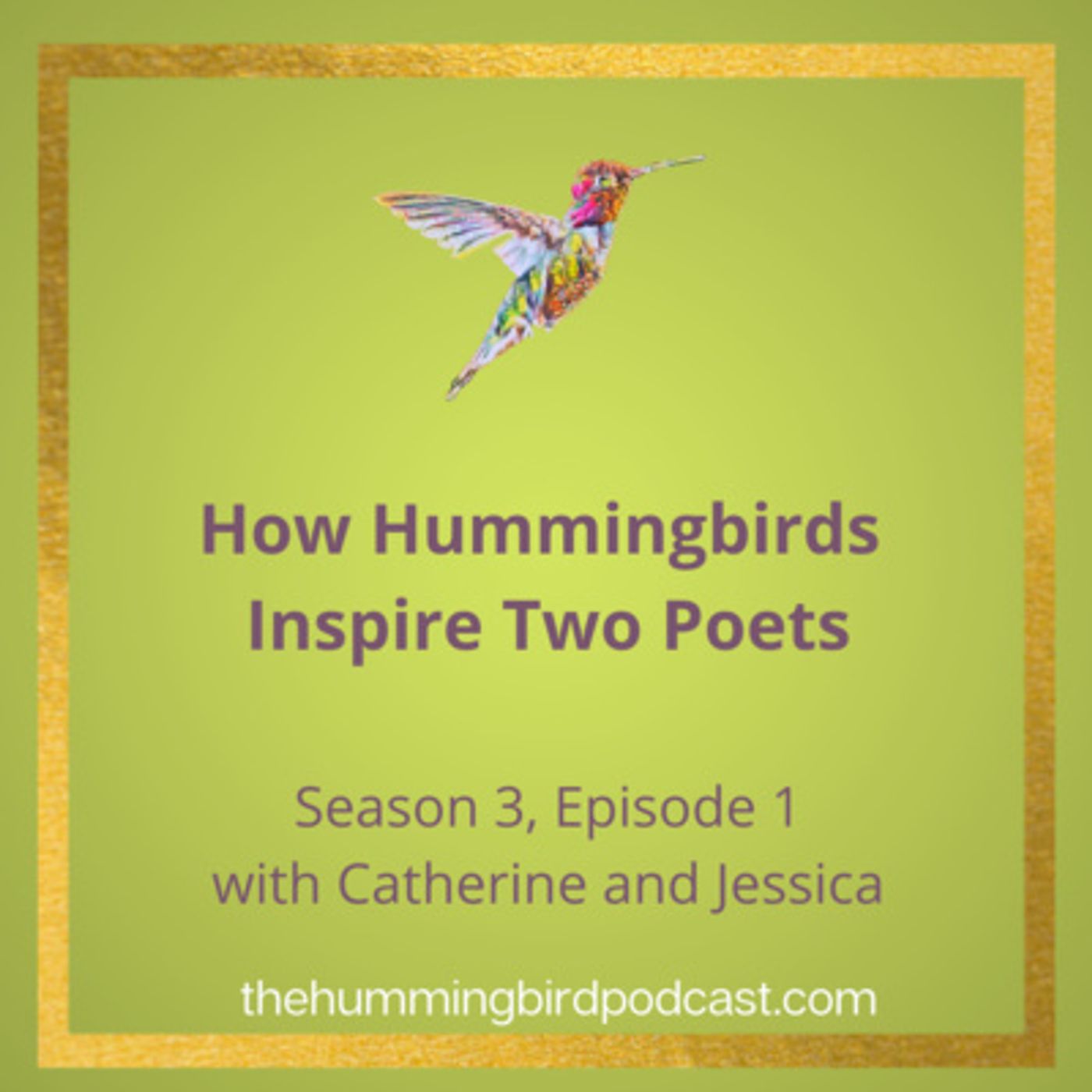 Hummingbird