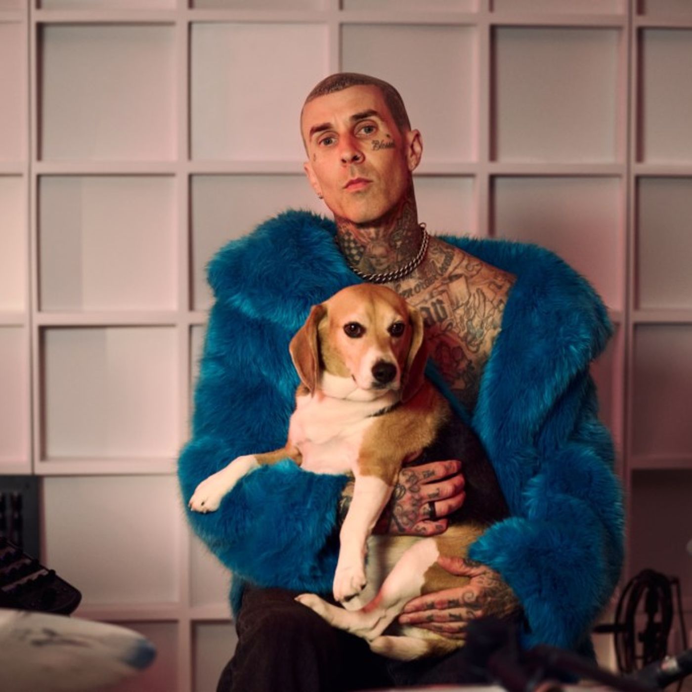 Travis Barker Leans Into Benefits of Shelter Pet Adoption and Meat-Free Lifestyle in PSA For Humane World For Animals: ‘Just Do Good’ episode artwork