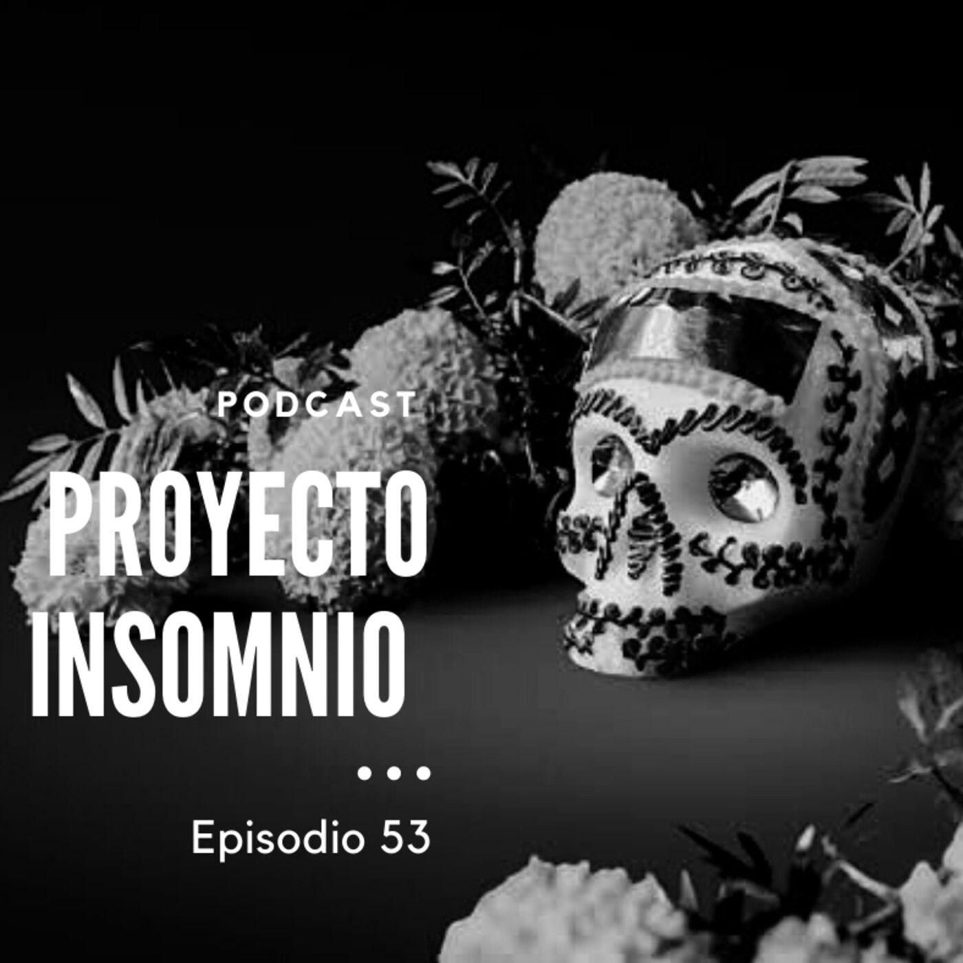 Proyecto Insomnio