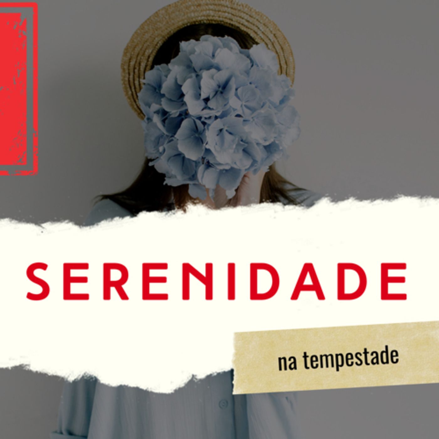 Serenidade na tempestade episode artwork