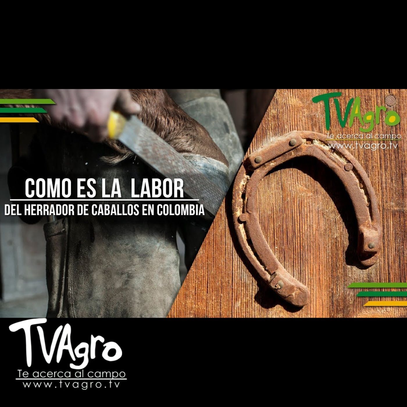 TV AGRO