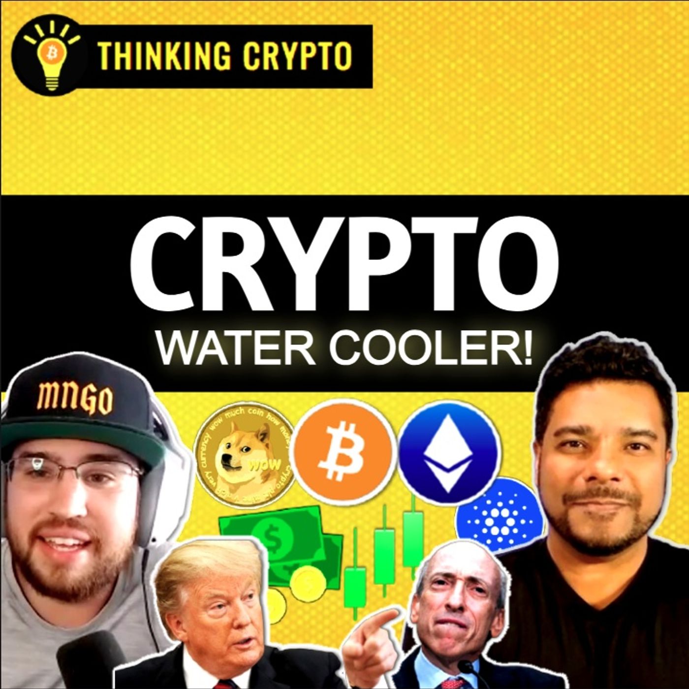 cover of episode Bitcoin & Dogecoin's Parabolic Pump, Elon DOGE, Gary Gensler Resigning | Crypto Water Cooler Ep17