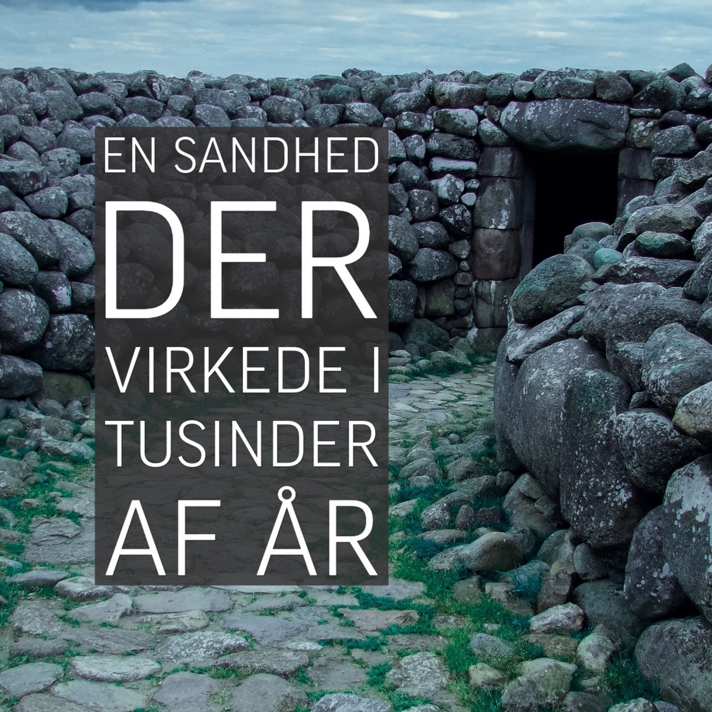 Fortidens stemmer