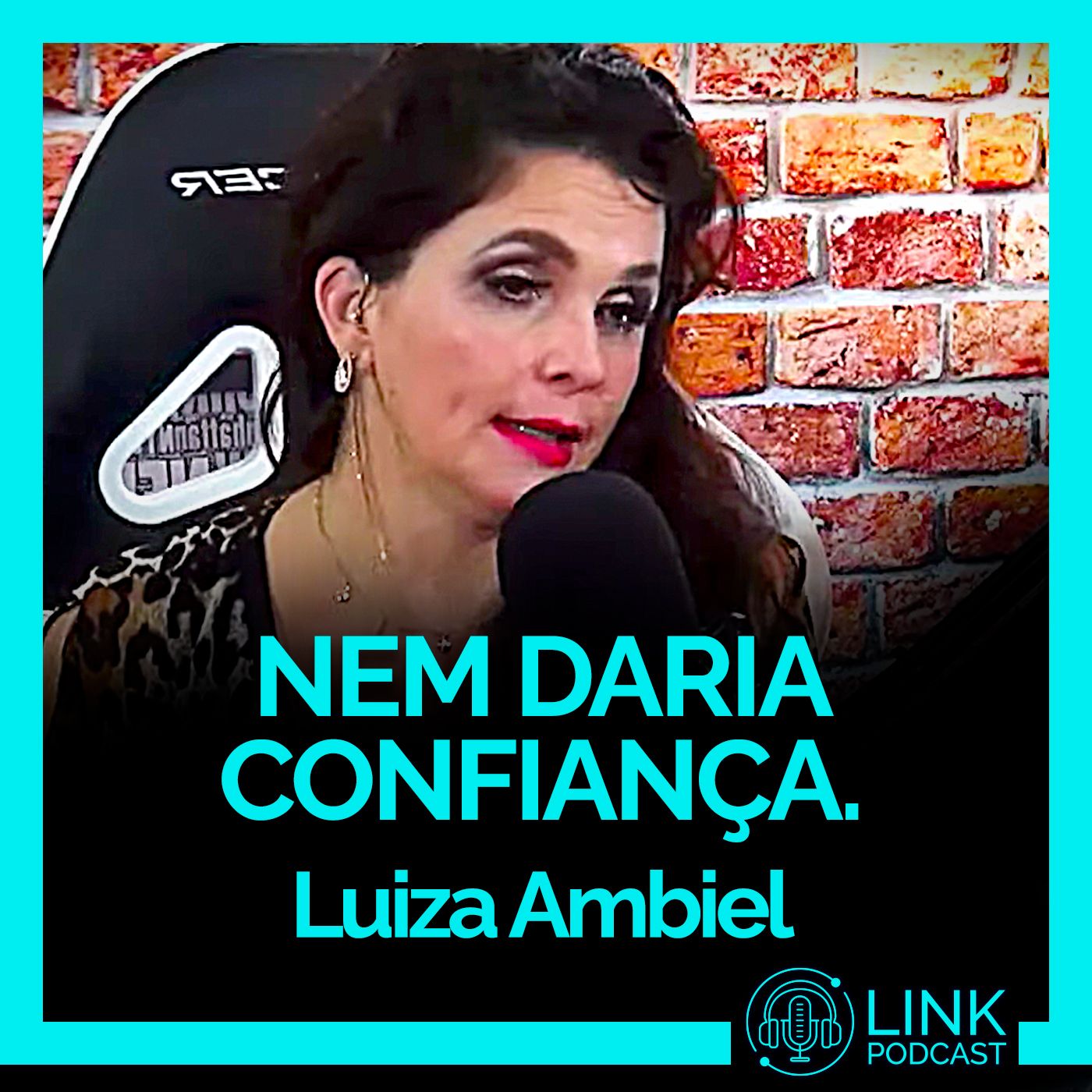 Link Podcast