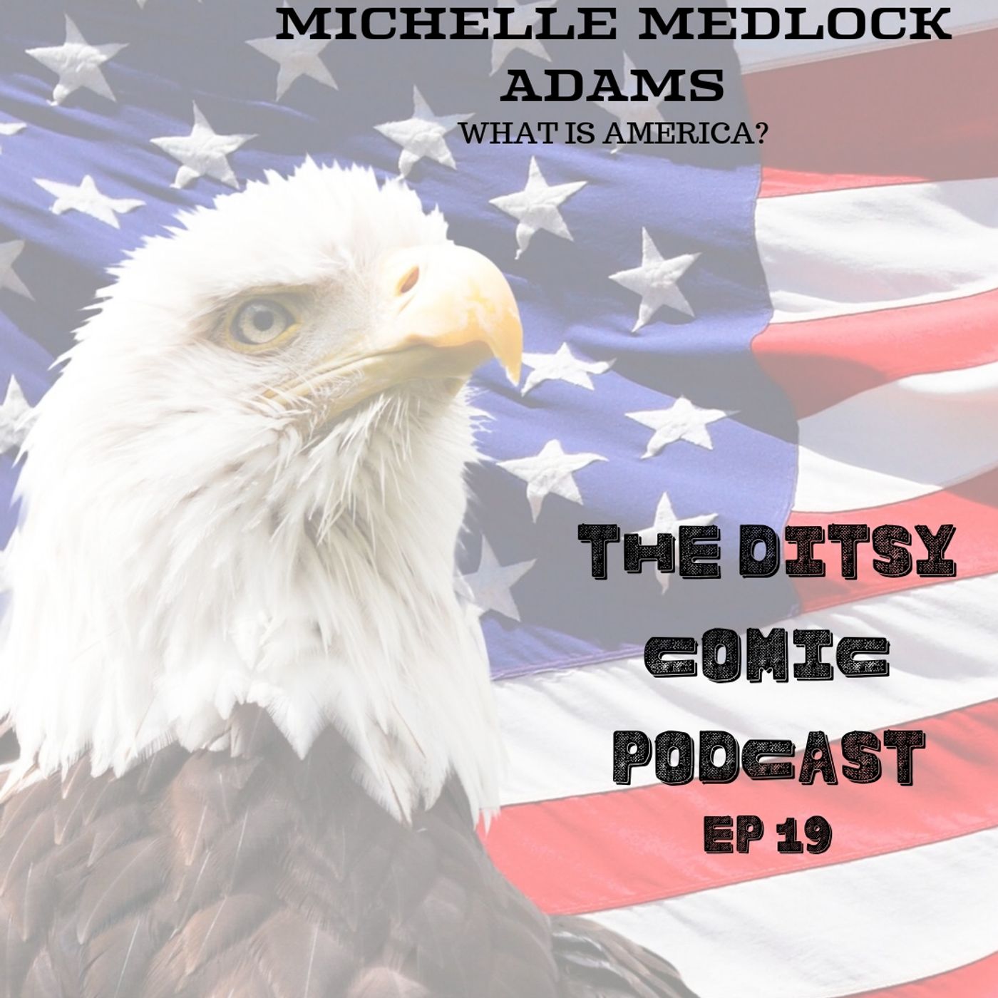 Michelle Medlock Adams What is America