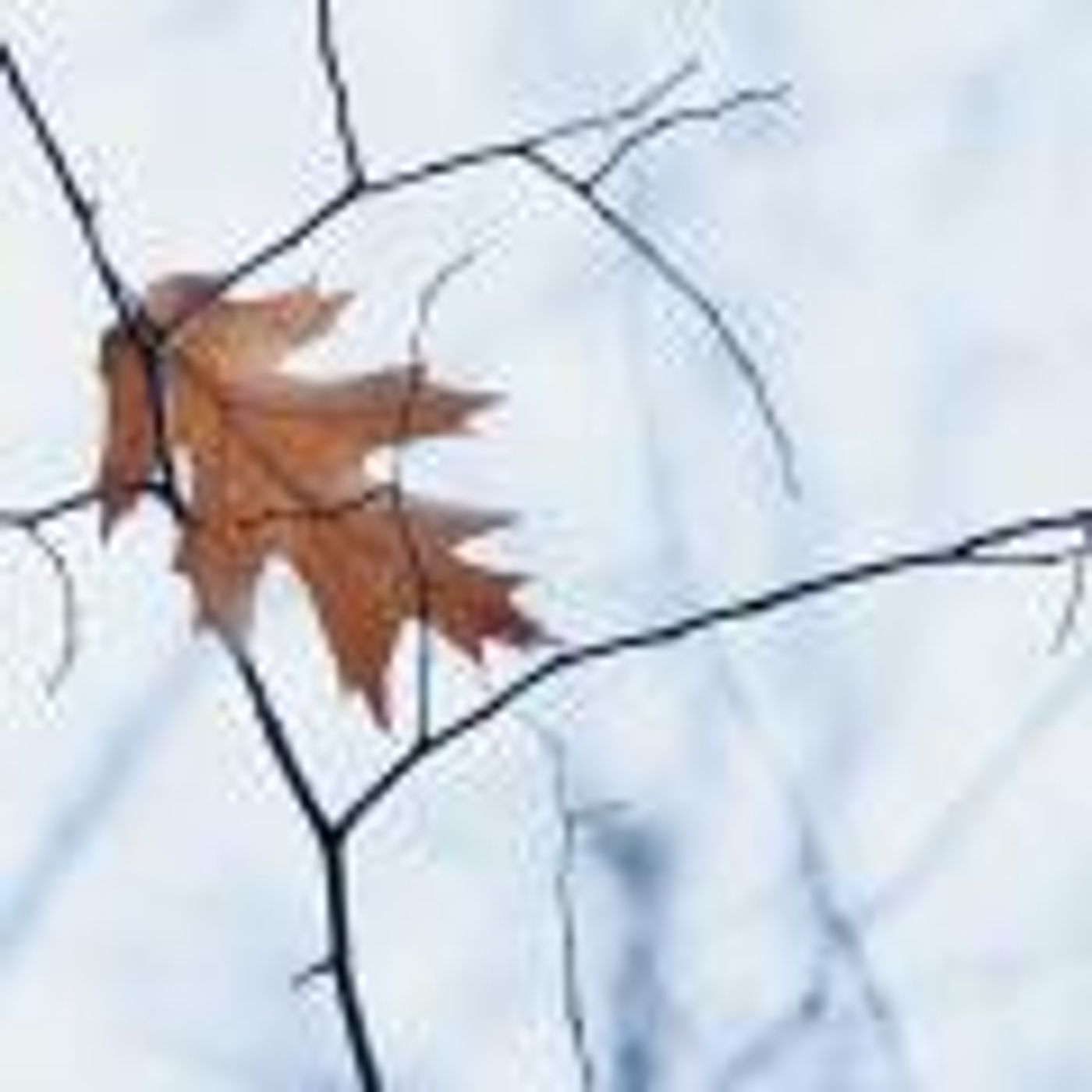 Easing into the Fall and Winter by Getting to and Staying in Neutral with LeRoy Malouf episode artwork