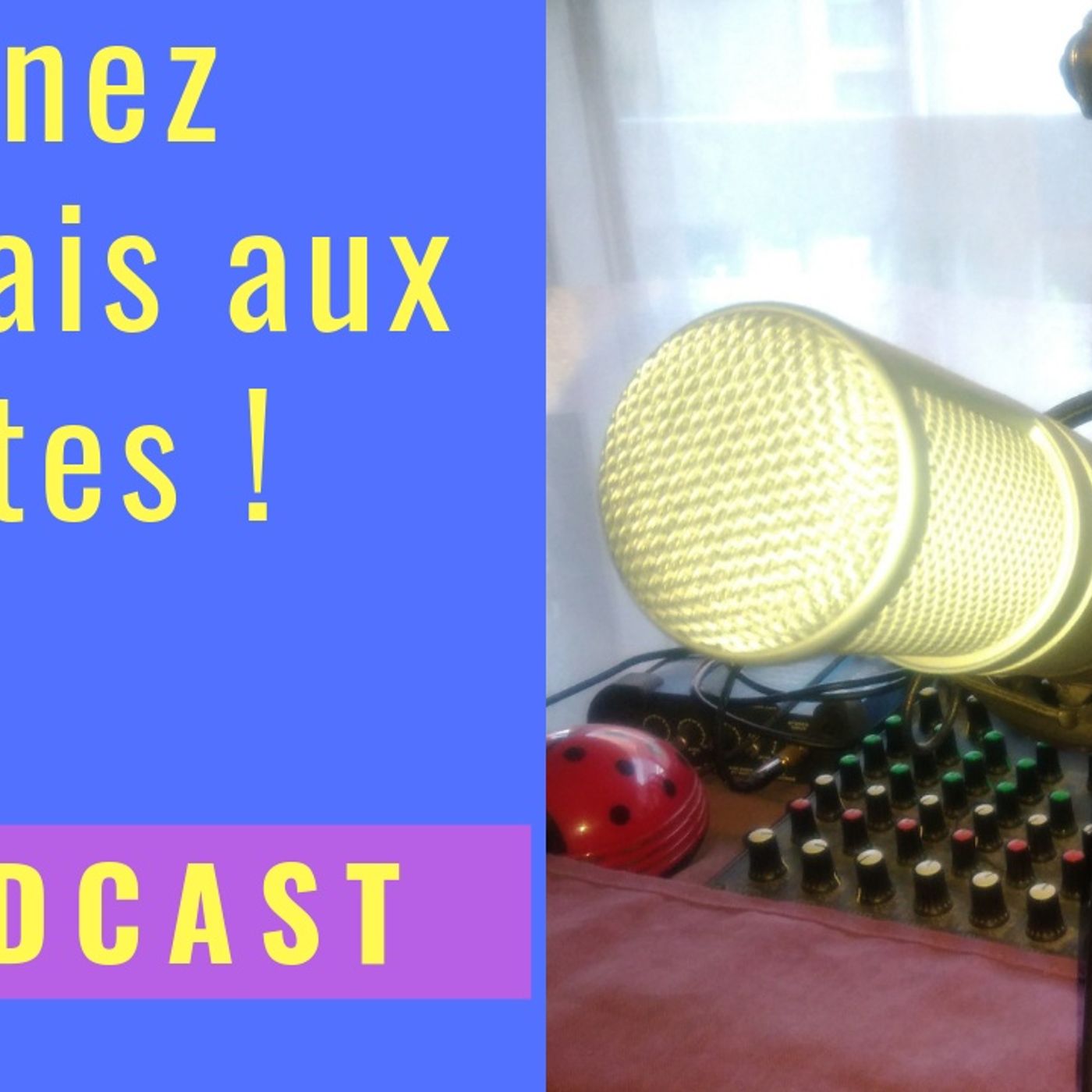 Lionel Estan-zebreetnet.fr show