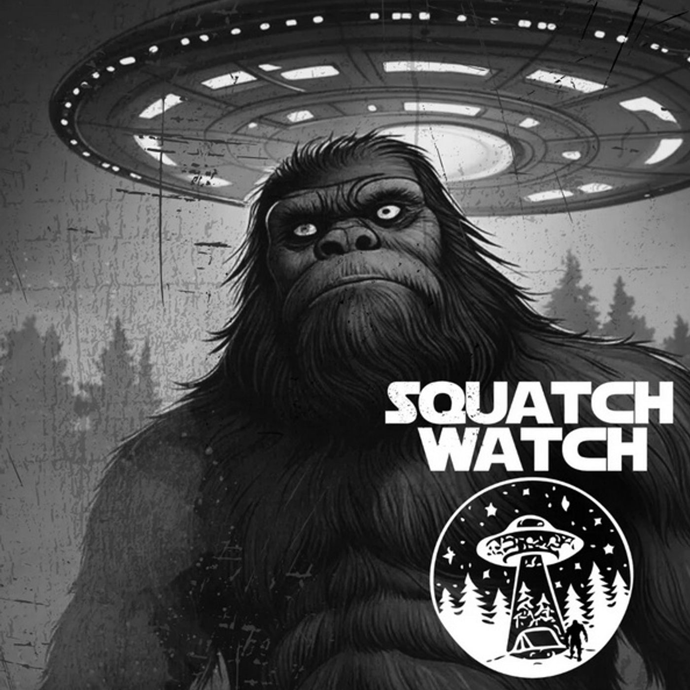 Rob McConnell Interviews - JEFF YELEK - Sasquatch