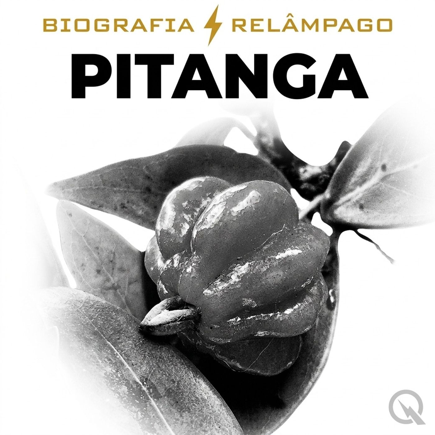 Pitanga - Biografia Relâmpago