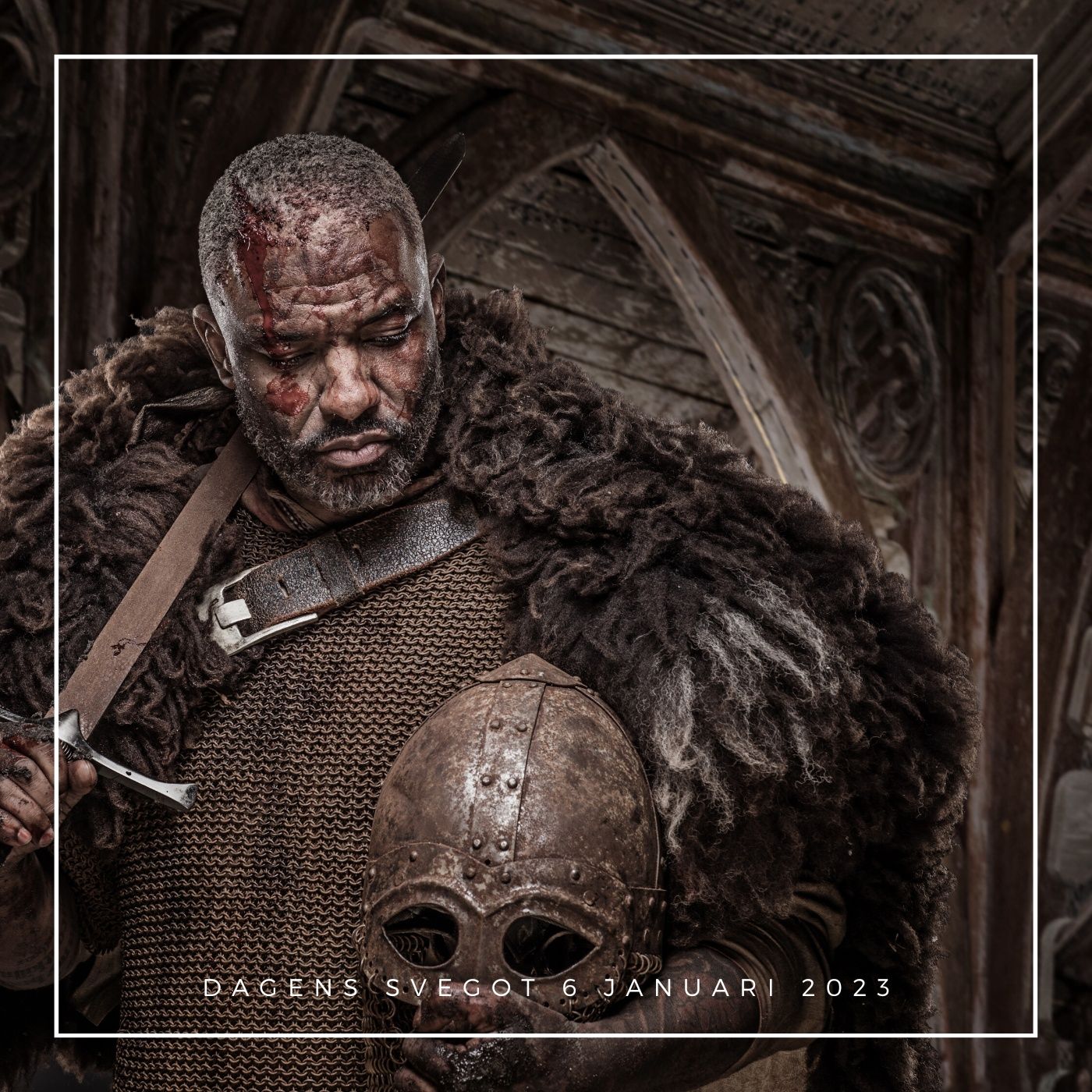Vikingarna, invandringen och de svarta ursvenskarna episode artwork