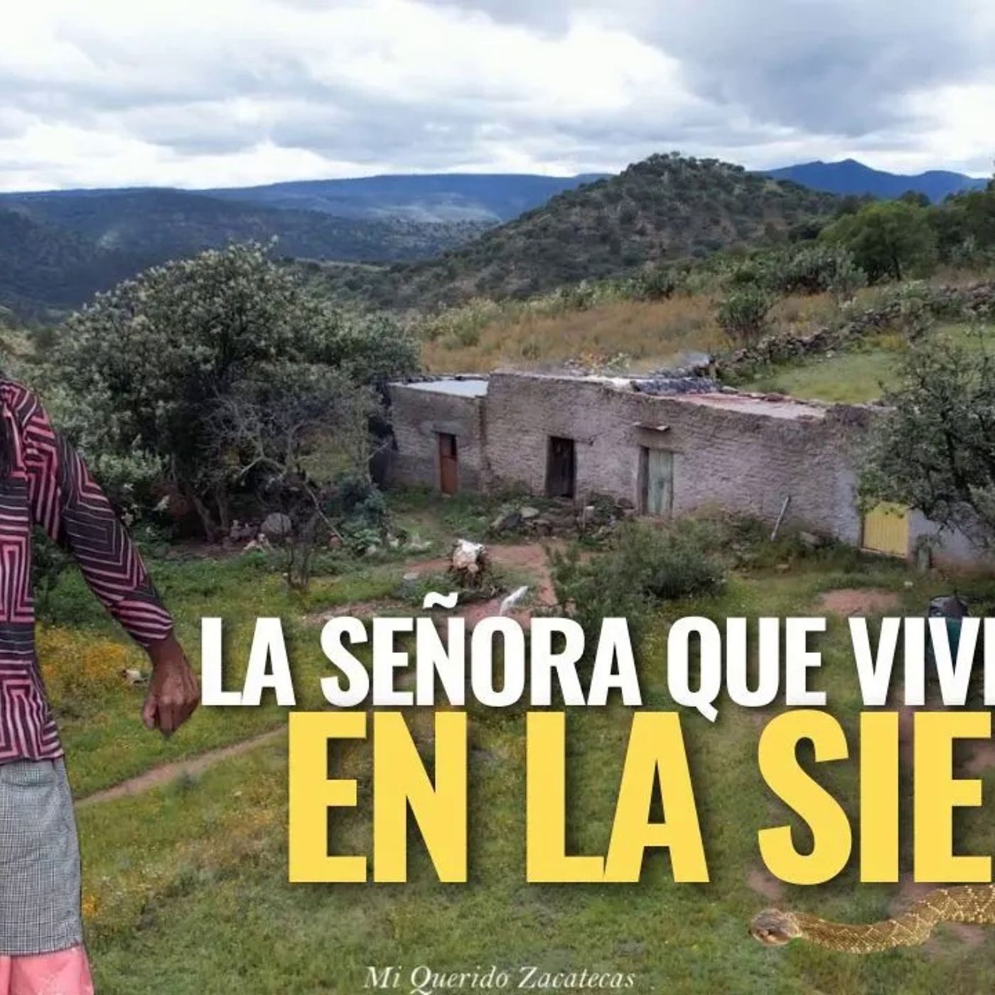 _DURO MESES SIN VER PERSONAS AQUI NADIE ME VISITA_