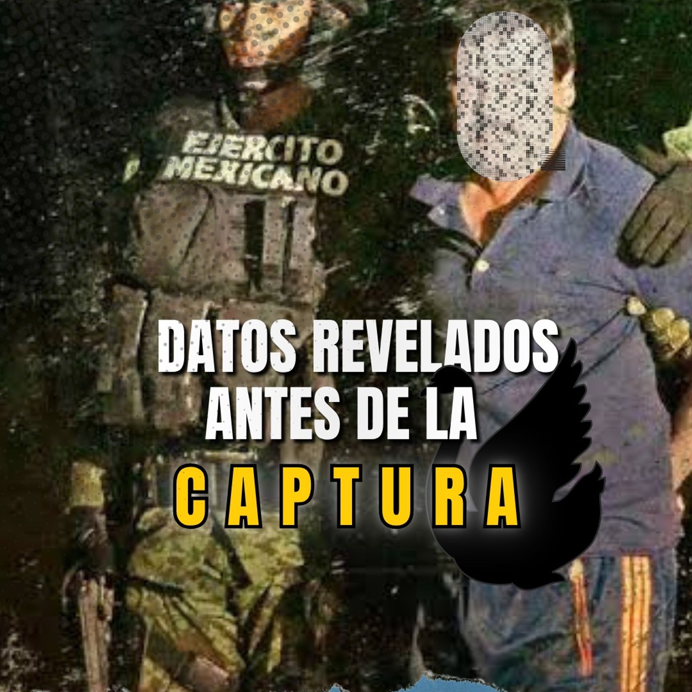 LO QUE OCURRIÓ ANTES DEL OPERATIVO // DEA-MARINA