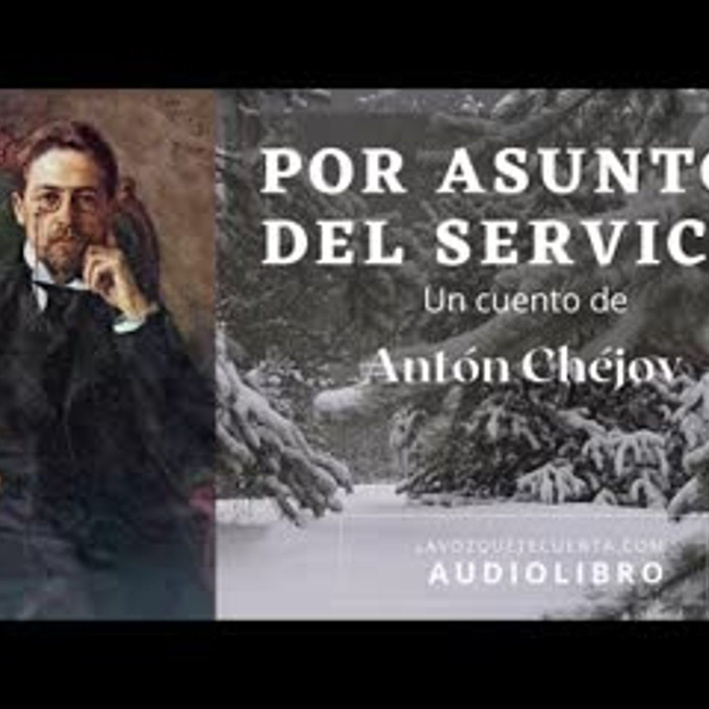 Audiolibro En Español