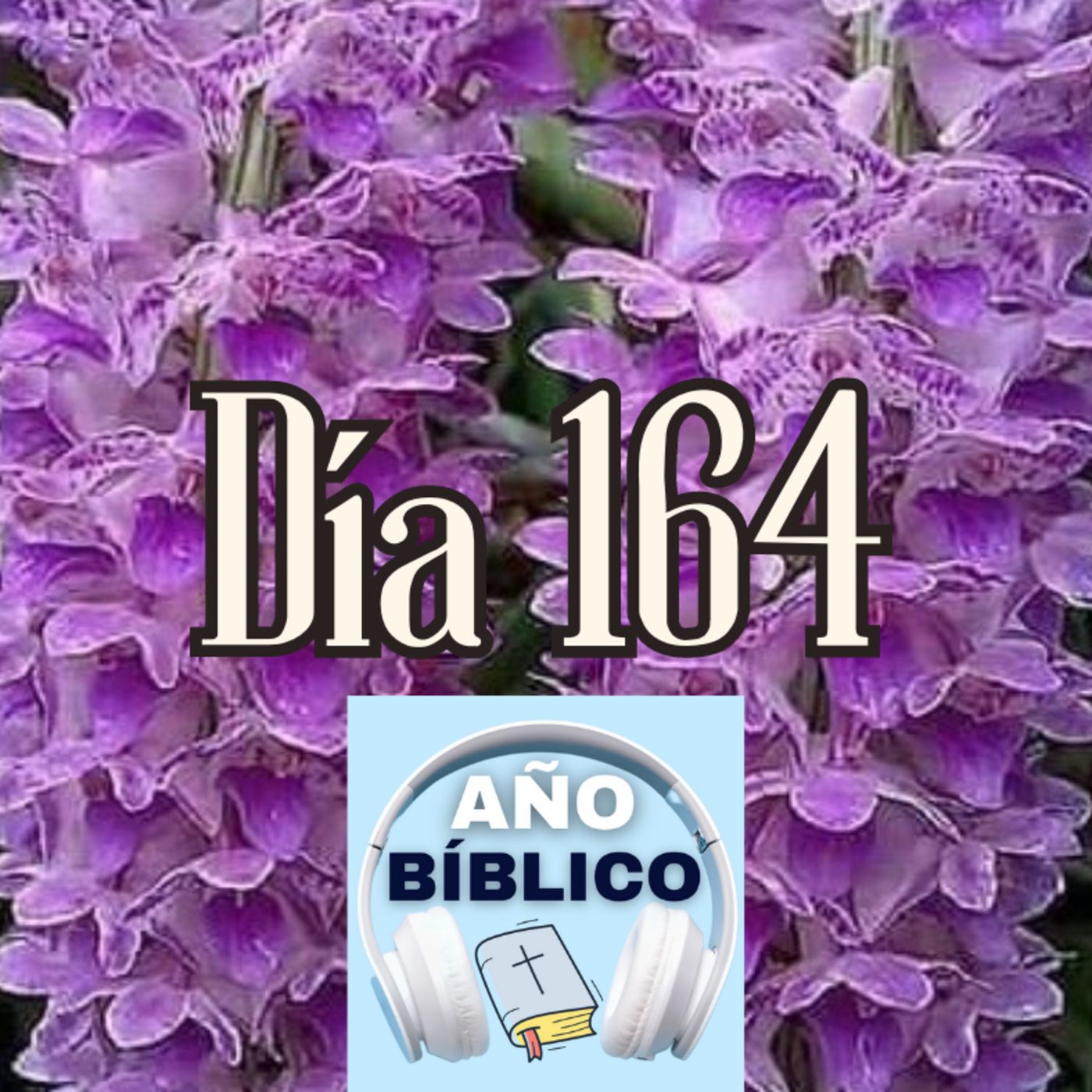 Día 164 - Salmos 71:17-24, 2 Reyes 9; 2 Reyes 10:1-17 y Hechos 25:13-27 episode artwork