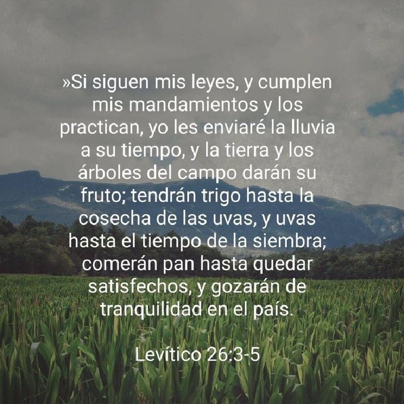 Bendiciones de la obediencia Levítico 26:3-5. episode artwork