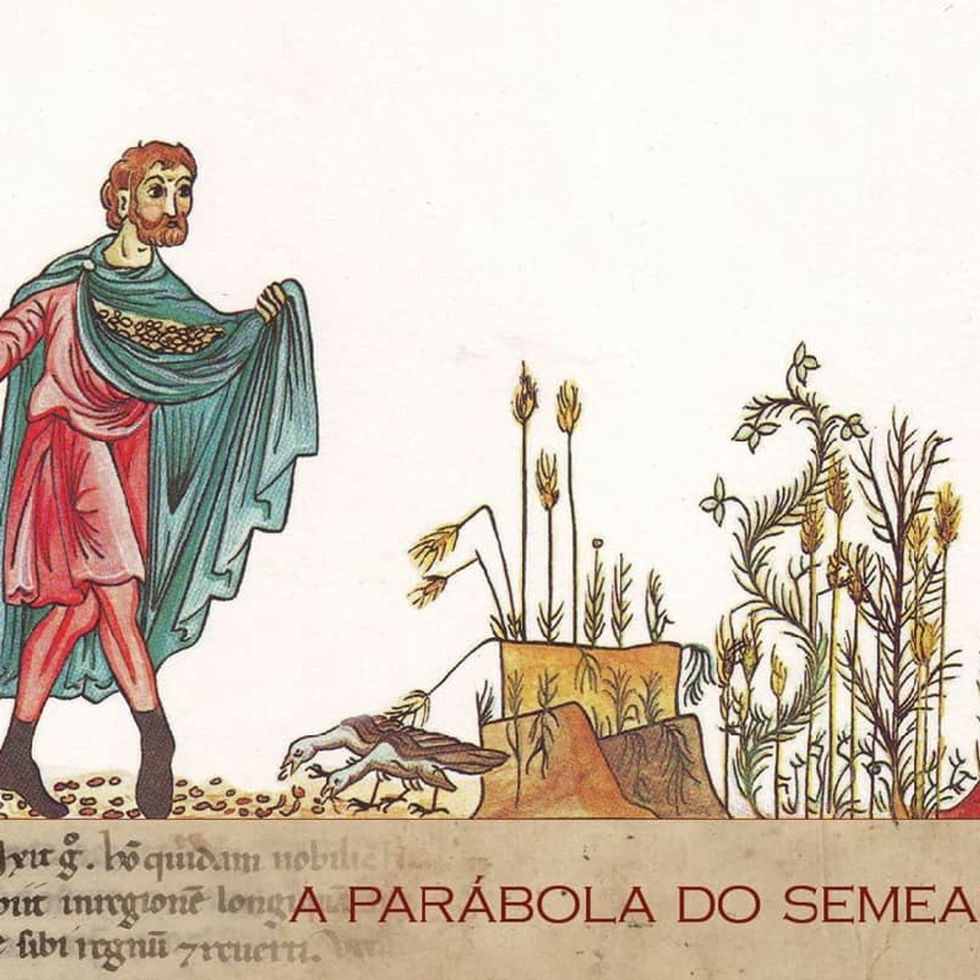 Ao Coração Do Catequista