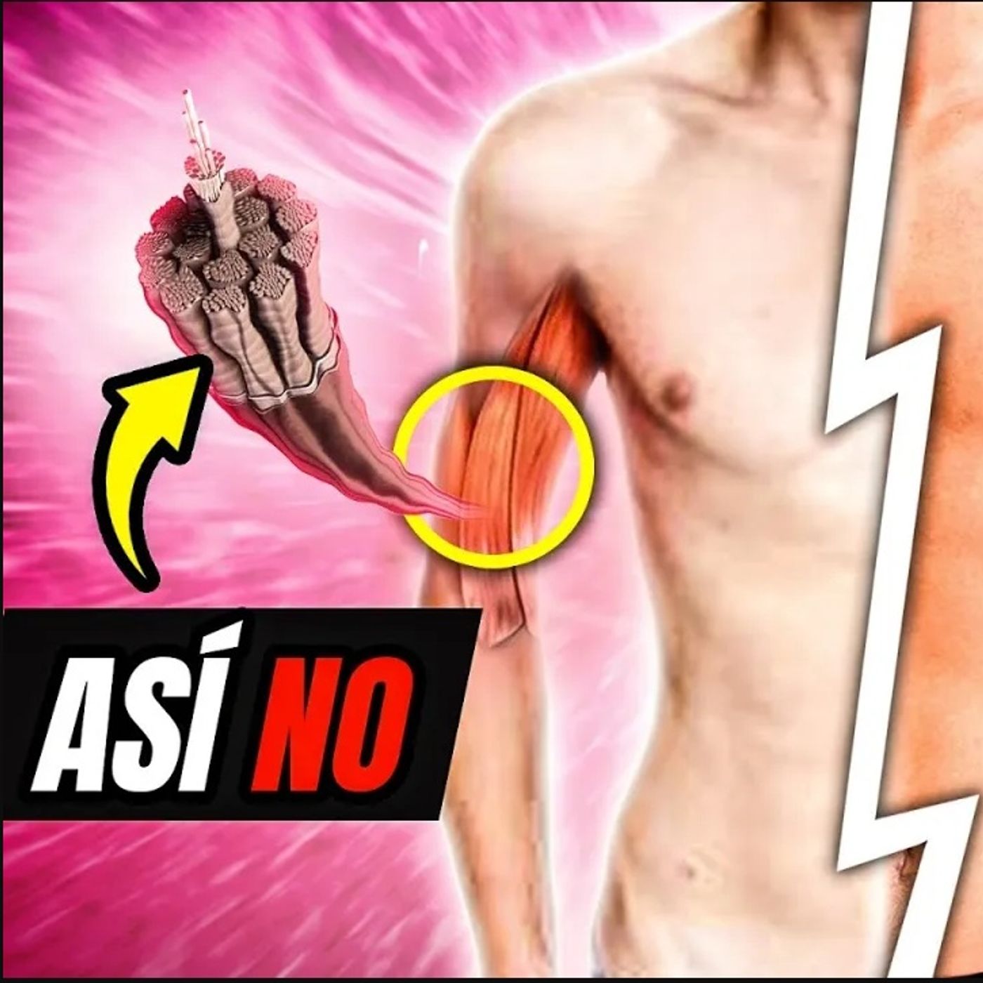 Más FUERZA y Menos LESIONES💪OPTIMIZA ASÍ tu RECUPERACION MUSCULAR: Guía Definitiva