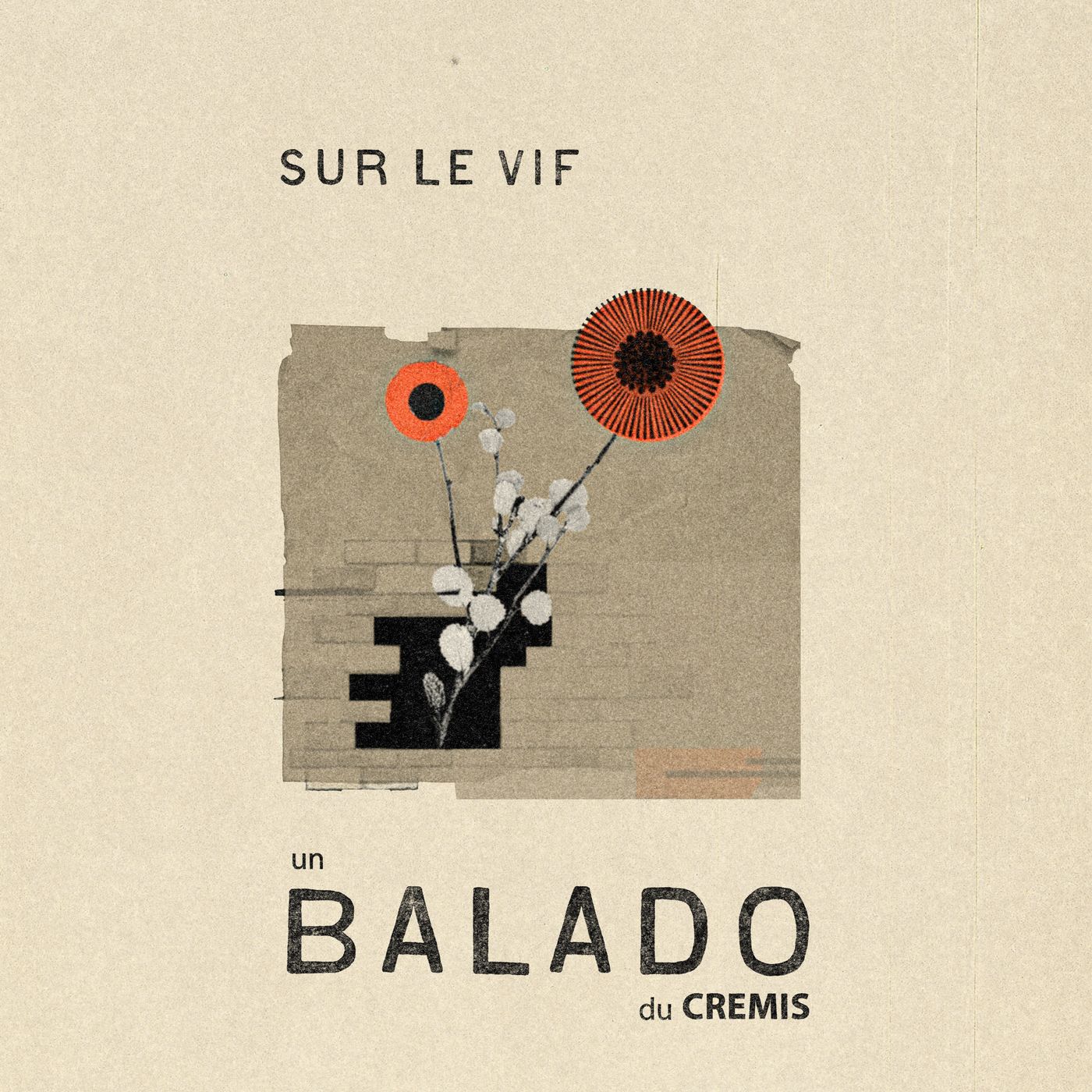 Sur le vif - balado du CREMIS