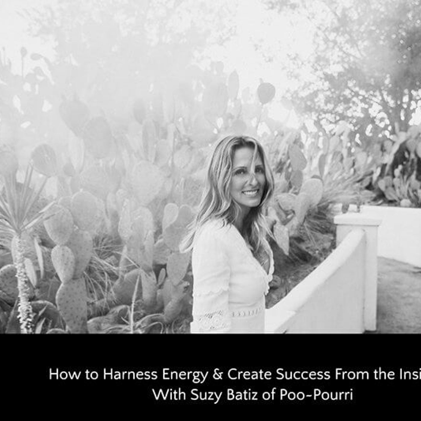 The Wellness Mama Podcast