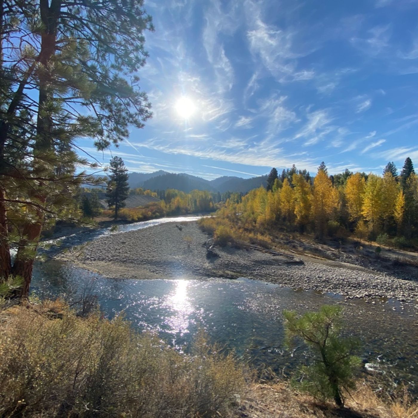 What do you want this thing to do ? Combat Mindless Consumerism