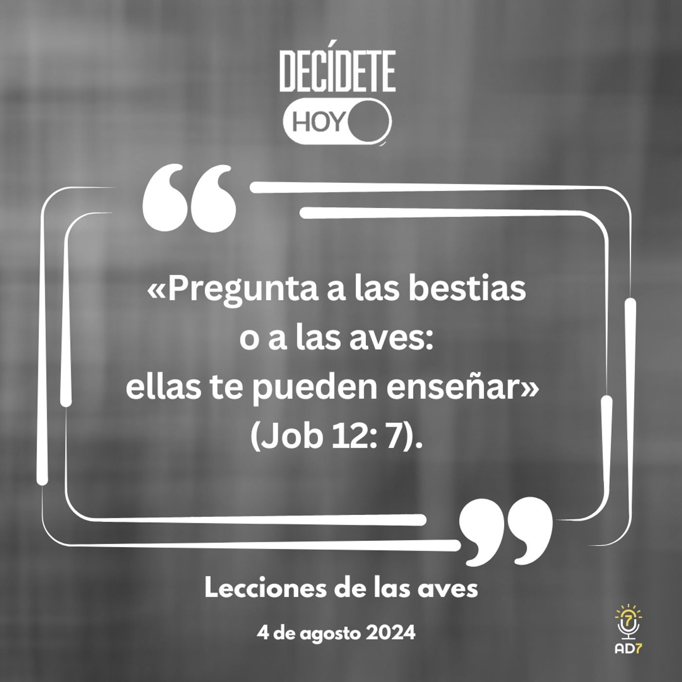 Lecciones de las aves | Devocional de Jóvenes | 4 de agosto 2024