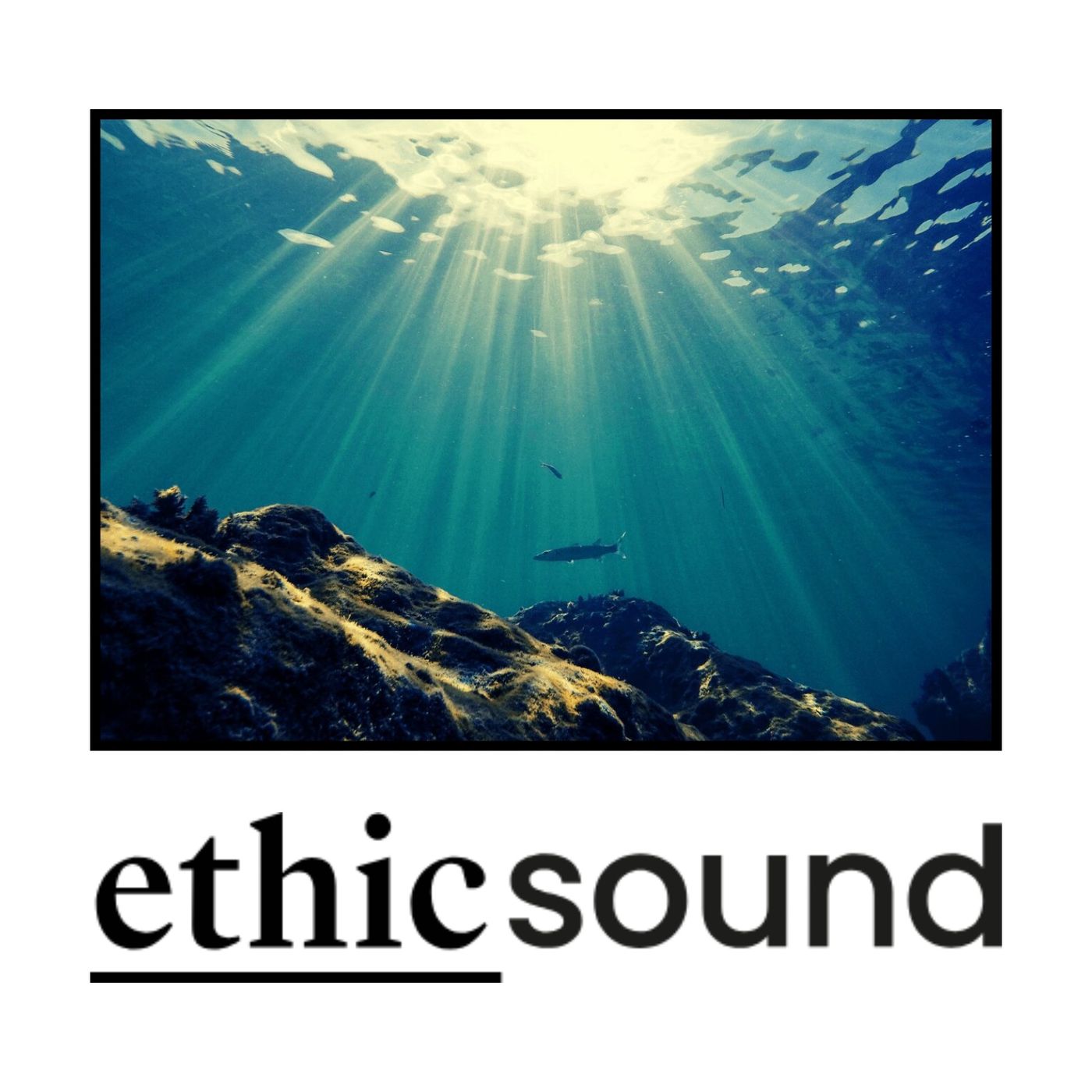 Cuando el océano se vuelve ácido