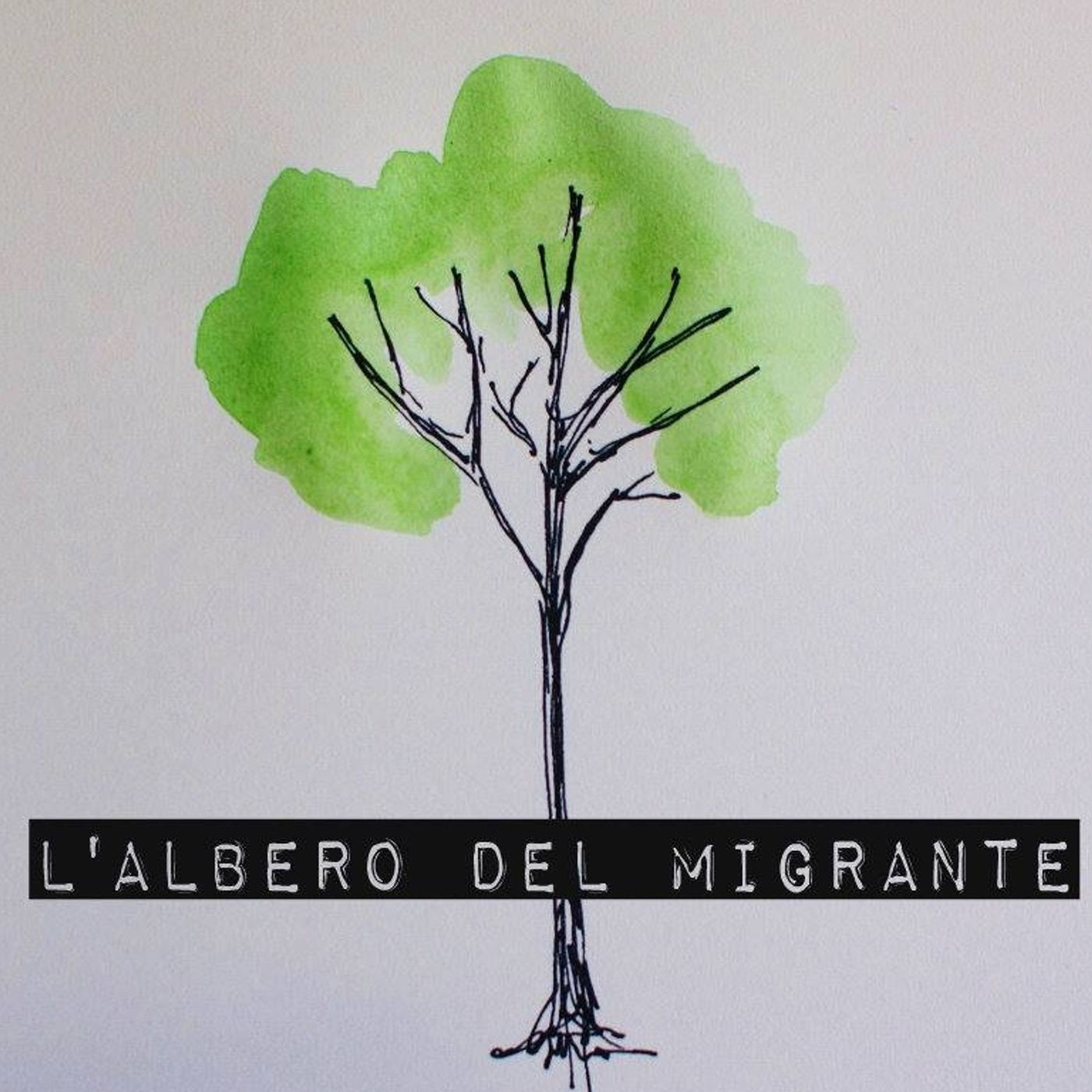 L'albero del migrante - un'iniziativa episode artwork