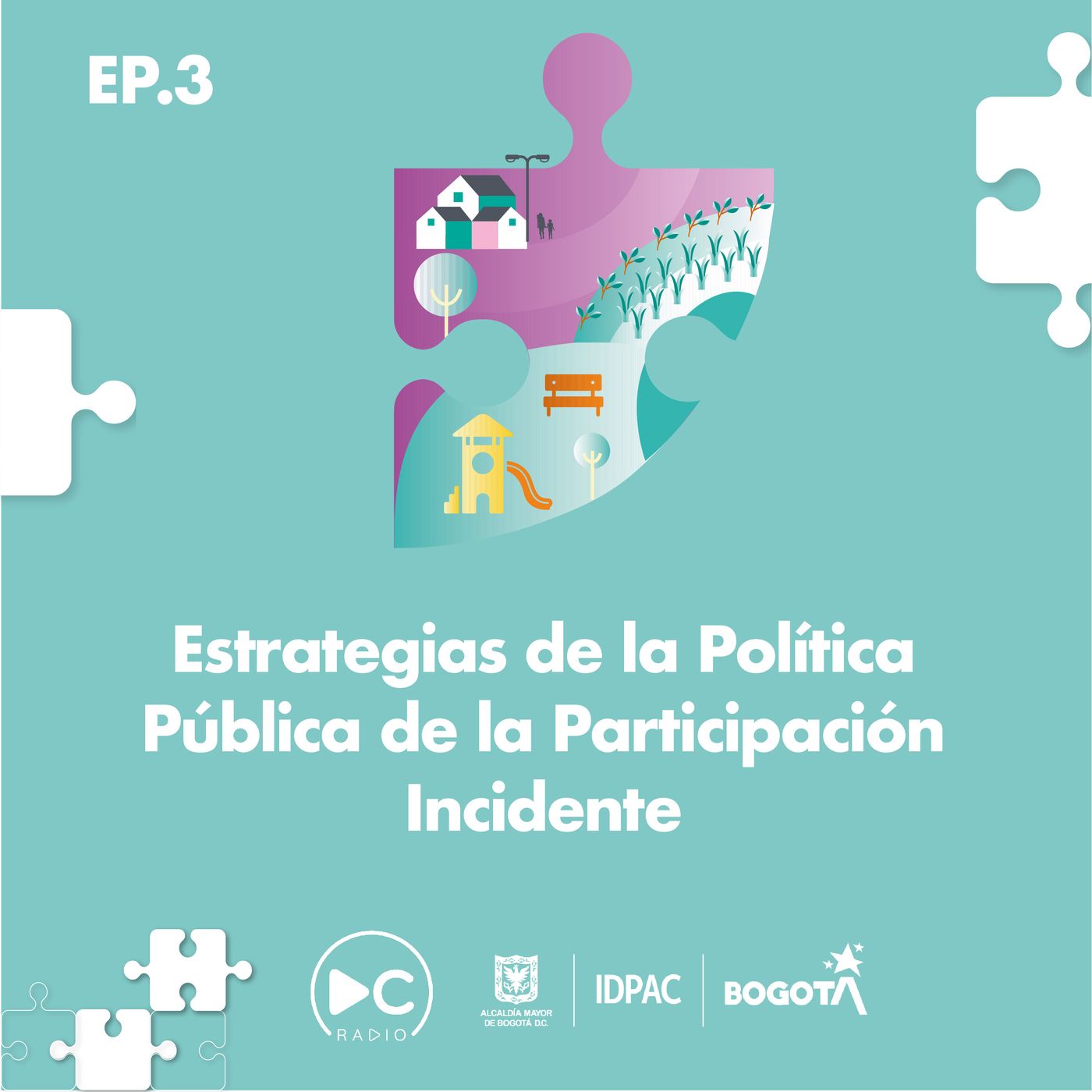 Estrategias y ejes de la polìtica pública de participación incidente episode artwork