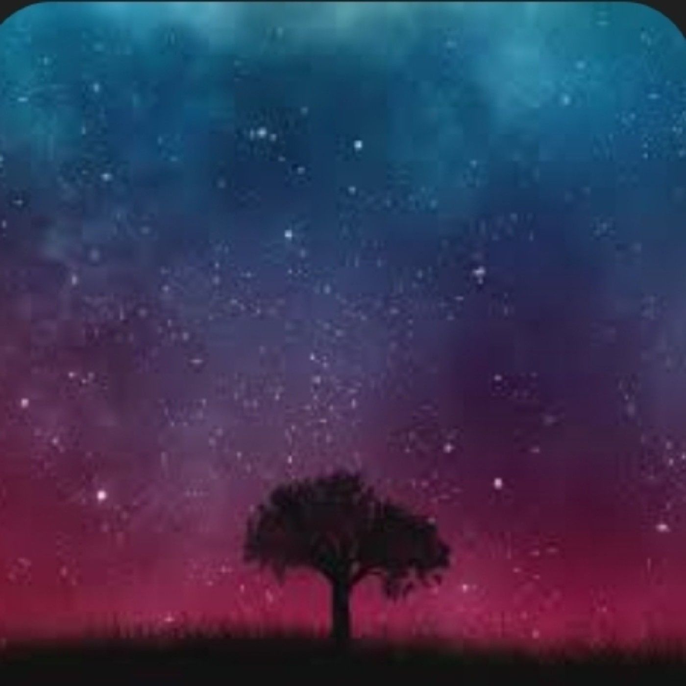 Sunset the Koala podcast artwork