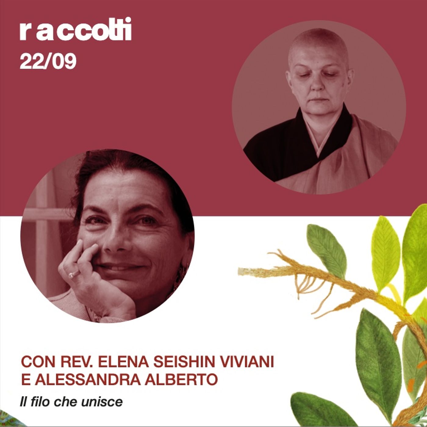 Raccolti Festival