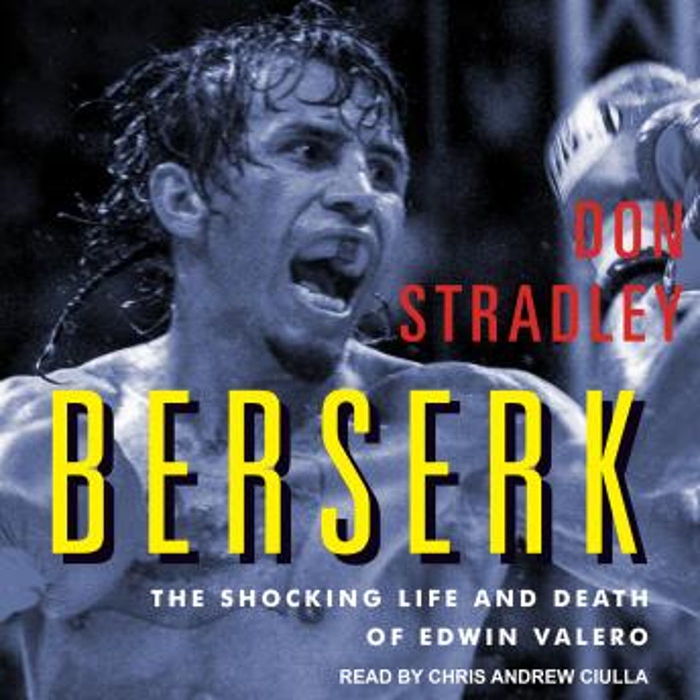Stream Popular Full Audiobooks in Mystery, Thriller & Horror, True Crime