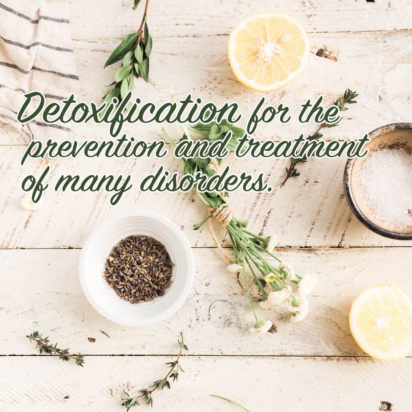 Bits of Wellness