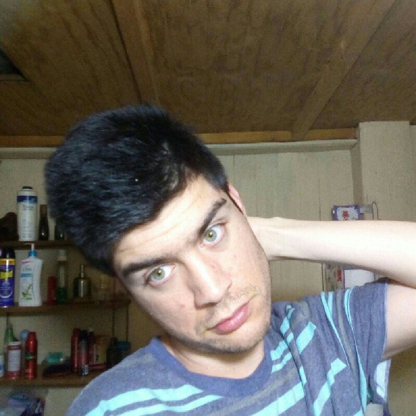 El show de Andres Milo