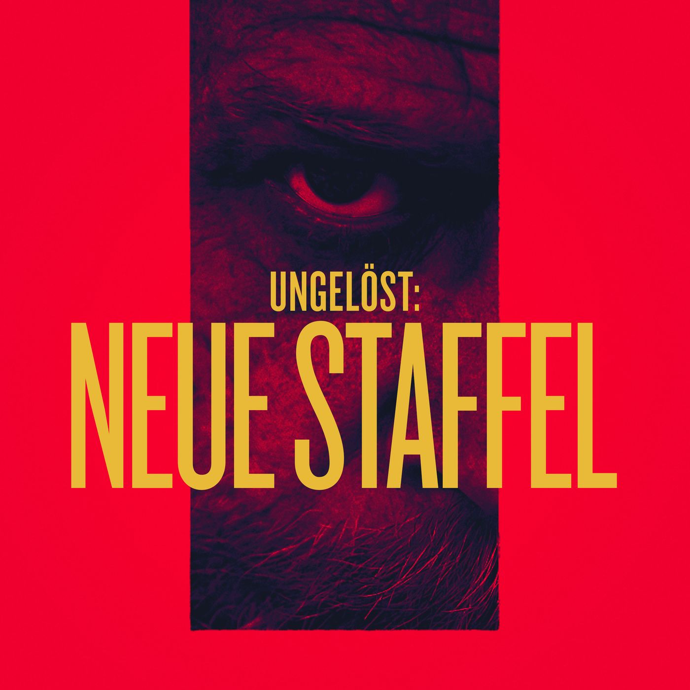 UNGELÖST - Verbrechen ohne Täter | Ein Podimo Podcast