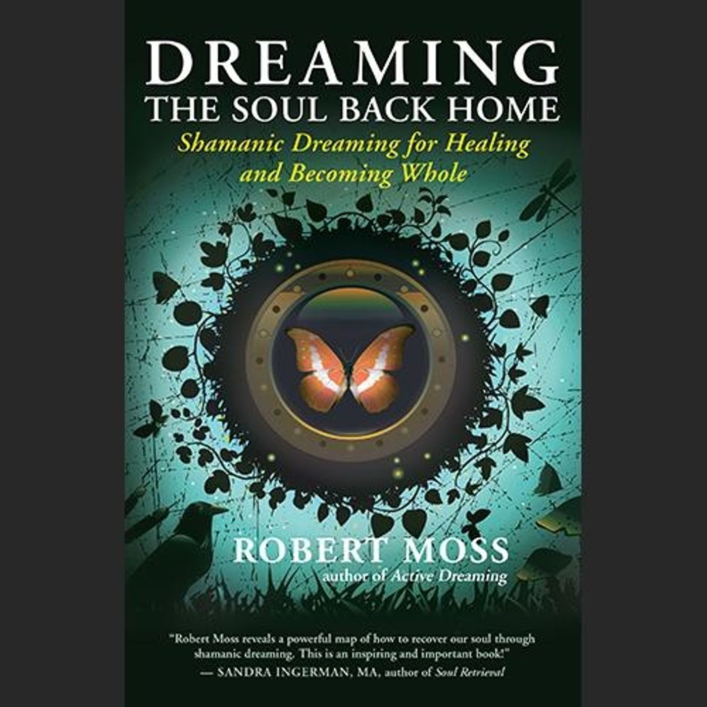 Dreaming the Soul Back Home with Bestselling Author Robert Moss episode artwork